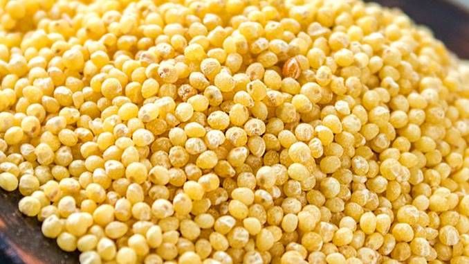 Millet vs Quinoa