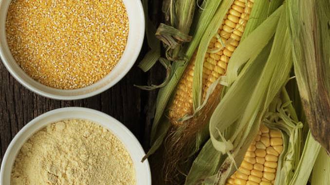 corn meal vs corn starch