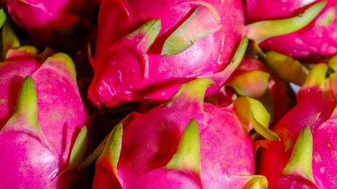 Why Dragon Fruit Is So Expensive
