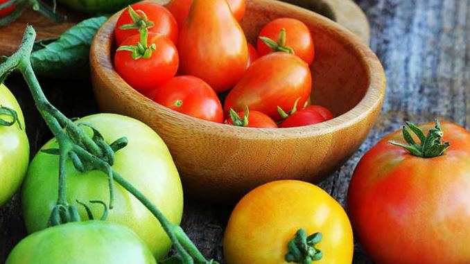 Why Are Tomato Skins Tough