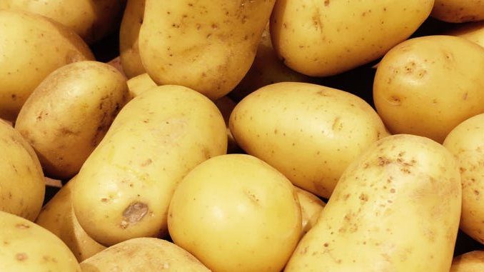 potato substitute for keto diet