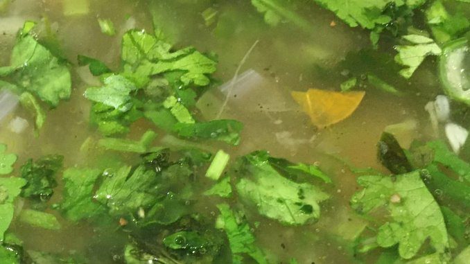 cilantro substitute in soup