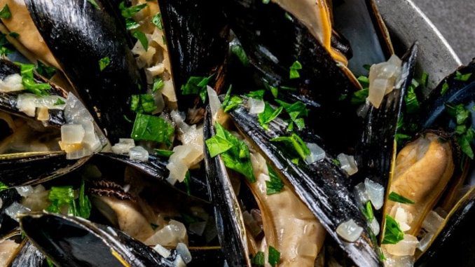 what to do with leftover mussels