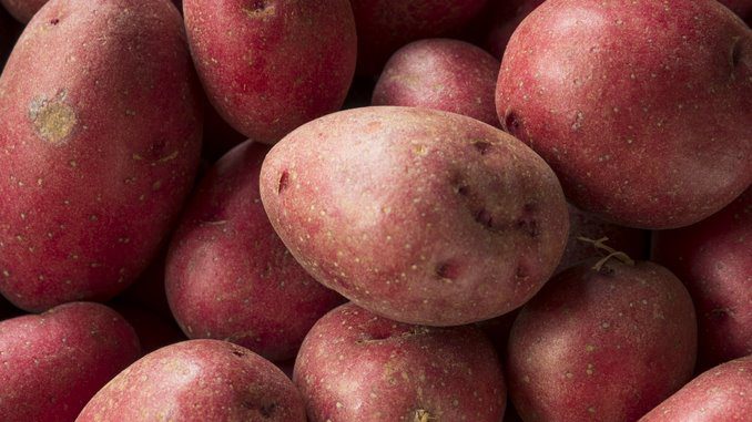 what to do with leftover red potatoes