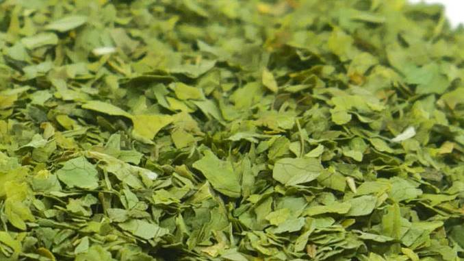 dried cilantro substitute