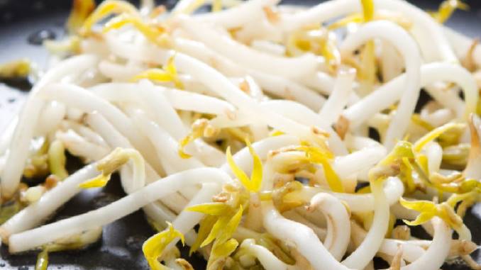 what to do with leftover bean sprouts