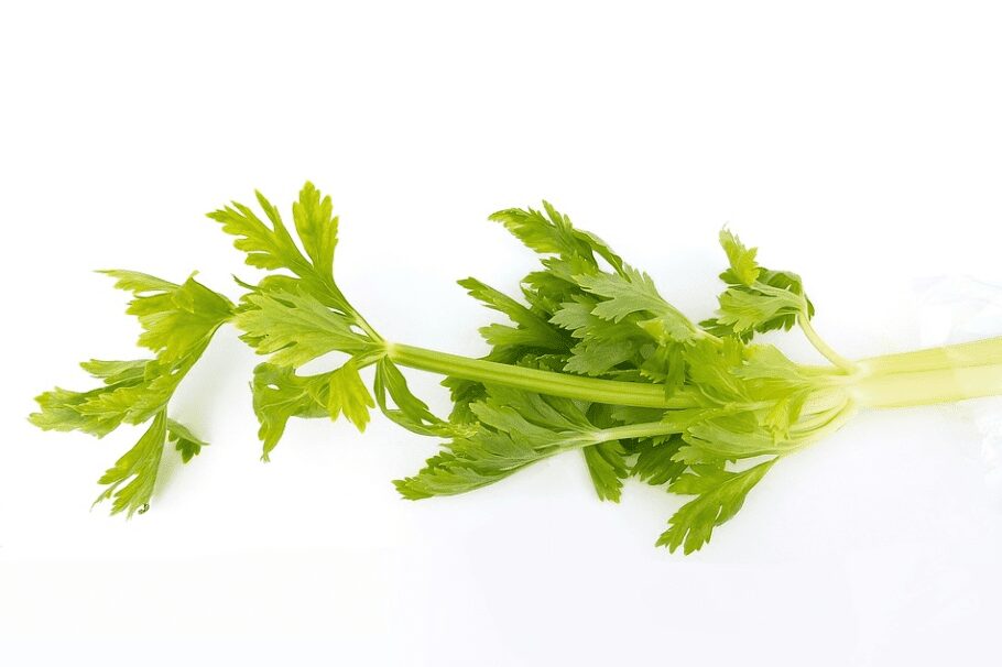 Cut celery