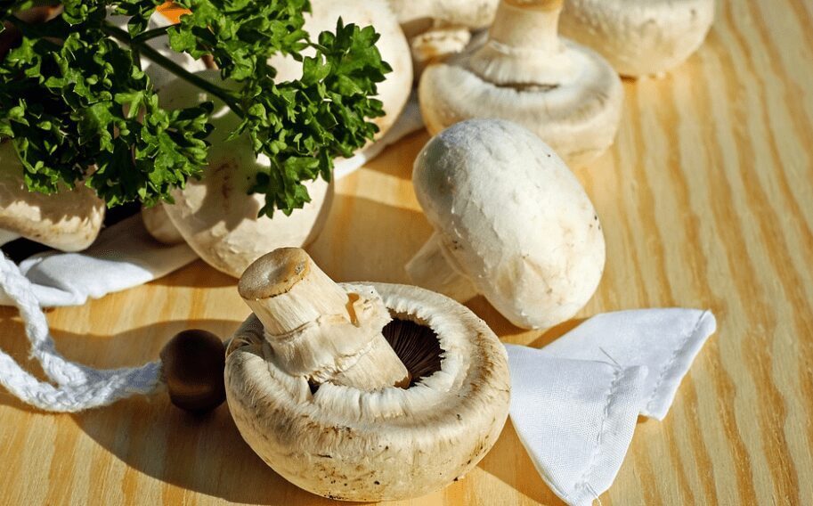 best ways to store mushrooms
