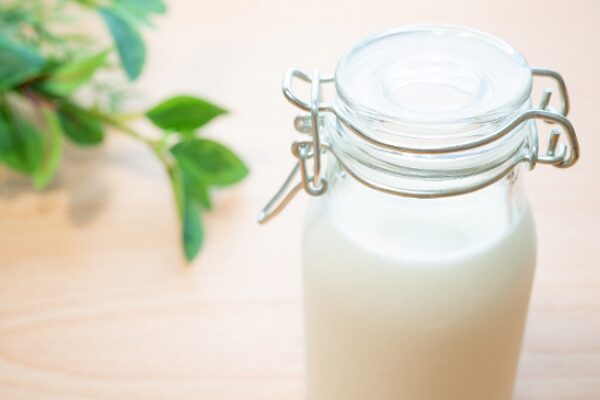 evaporated milk substitutes